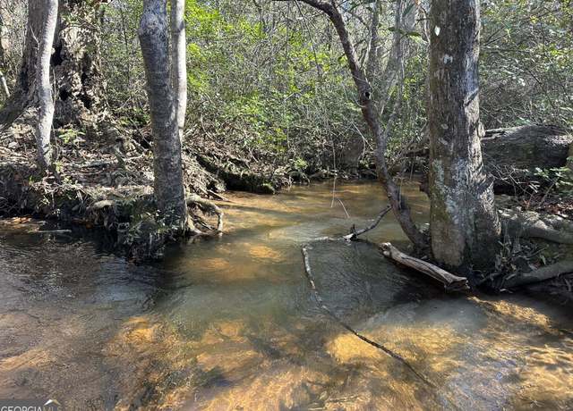 Property at 69 Mt Sinai Church Rd, Butler, GA 31006