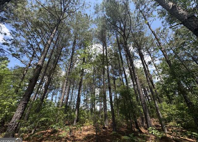Property at 850 Buttermilk Rd, Sylvania, GA 30467