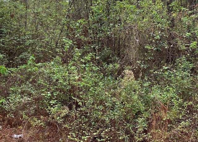Property at LOT 3 Coleman Chapel Rd, Swainsboro, GA 30401