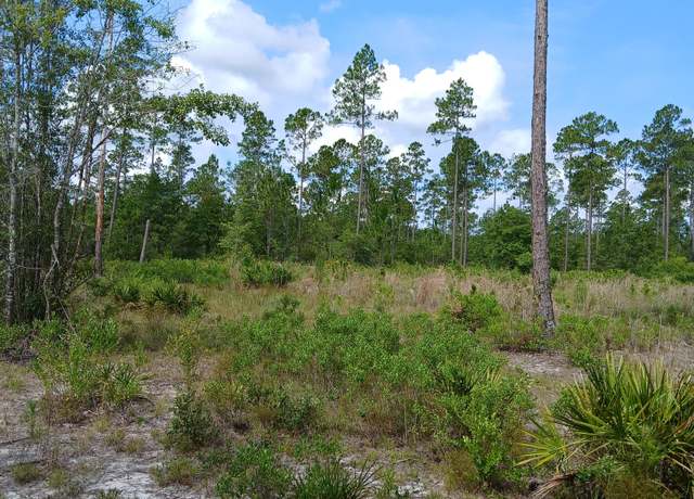 Property at 883 Okefenokee Club Rd, Folkston, GA 31537