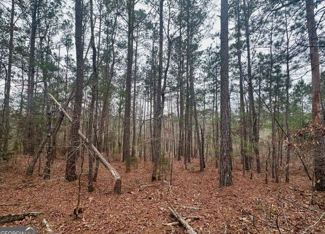 Property at 0 Rock Quarry Rd 35.55 Acres +/-, Yatesville, GA 31097