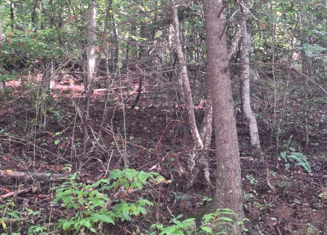 Property at 0 Coopers Creek Rd, Suches, GA 30572
