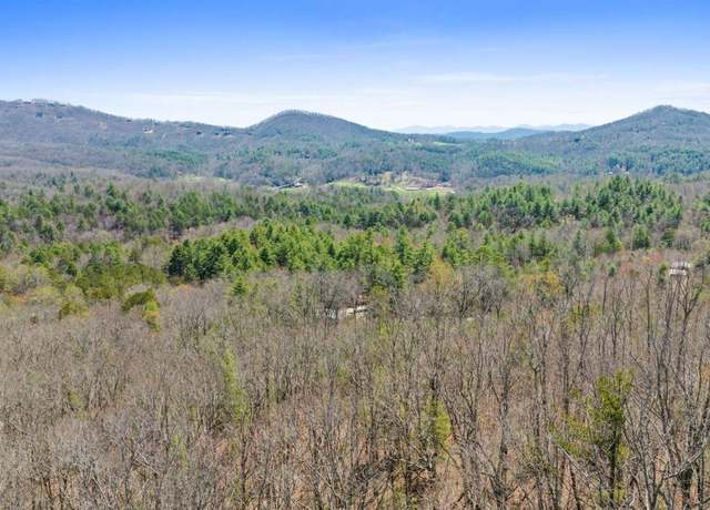 Property at 40B Synacia Rd, Mineral Bluff, GA 30559