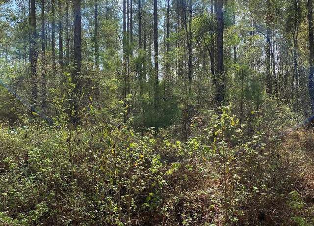 Property at LOT 4 Coleman Chapel Rd, Swainsboro, GA 30401