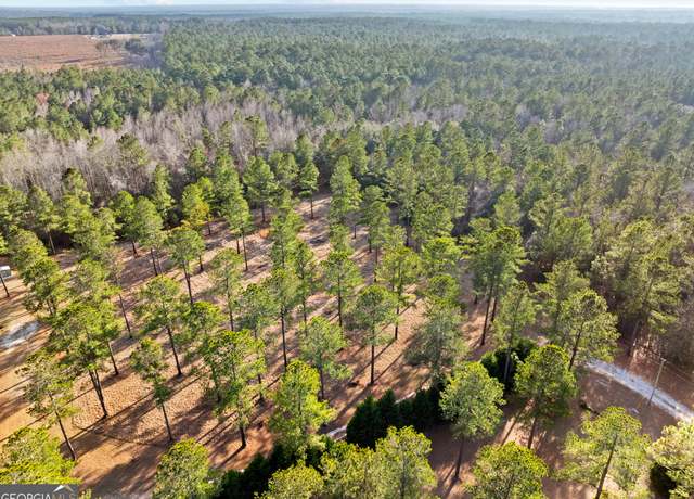 Property at 0 Twin Forks Rd, Pembroke, GA 31321