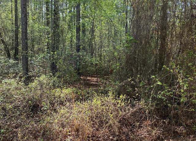 Property at LOT 5 Coleman Chapel Rd, Swainsboro, GA 30401