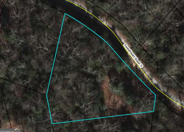 Property at 0 Sweetheart Rose Trl, Clayton, GA 30525