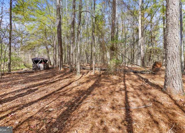 Property at 20.14 Drew Allen Rd, Williamson, GA 30292