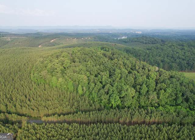Property at 12 +/- Acres on Yarborough Rd, Summerville, GA 30747