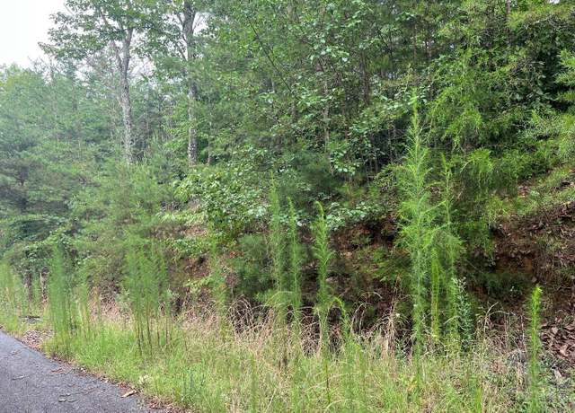 Property at LOT 8 Preserve At Beach Mtn, Brasstown, NC 28902