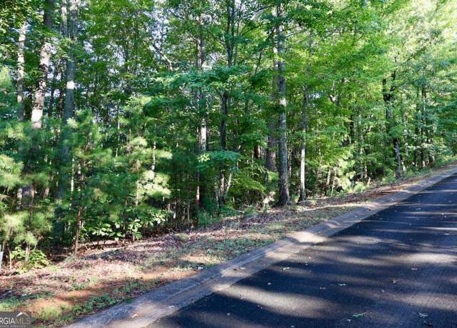 Property at 0 Saw Blade Ln, Ellijay, GA 30540