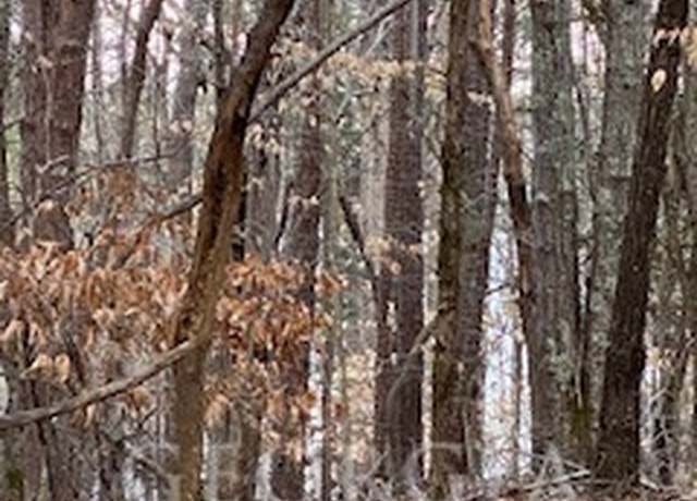 Property at 0 Bluff Rd, Elberton, GA 30635