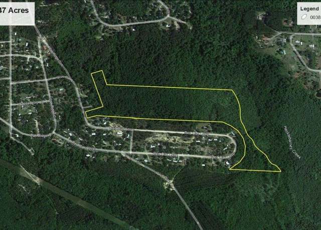 Property at 47 +/- ACRES Live Oak Ln, Blackshear, GA 31516