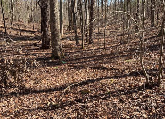 Property at 1986 Jones Mountain Rd, Jasper, GA 30143