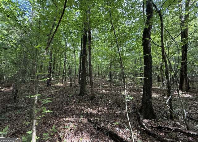 Property at 9.07 ACRES Us Highway 80 W Lot 1, Roberta, GA 31078