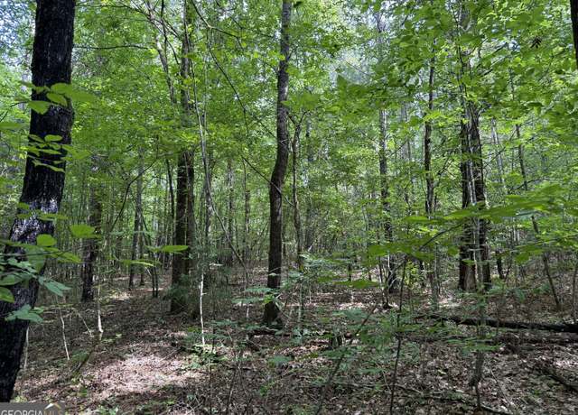 Property at 8 ACRES Us Highway 80 W Lot 2, Roberta, GA 31078
