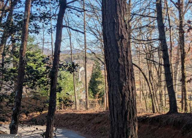 Property at 0 Ivylog Dr, Blairsville, GA 30512