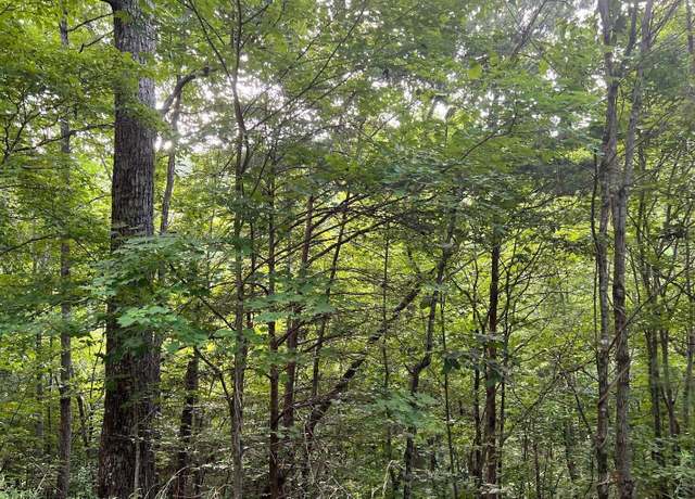 Property at LOT 13 Preserve At Beach Mtn, Brasstown, NC 28902