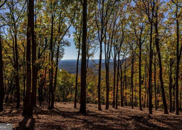 Property at 40.5 AC Windsong, Jasper, GA 30143