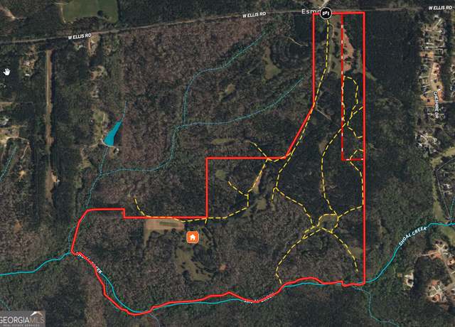 Property at 312.37 AC W Ellis Rd, Griffin, GA 30223