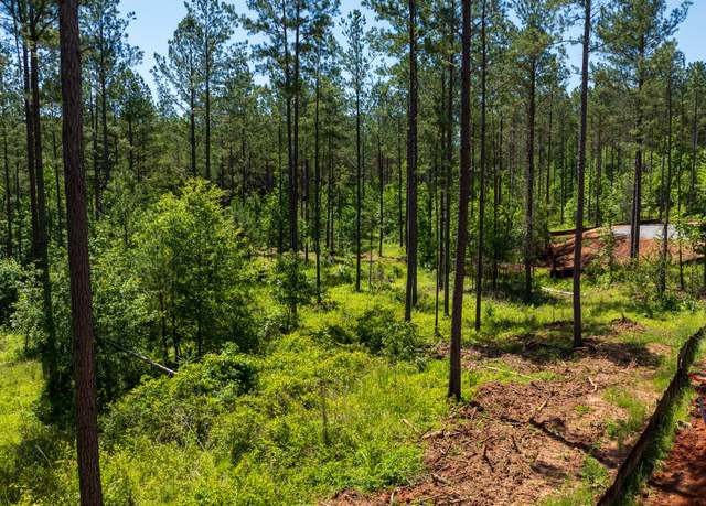 Property at LOT 16 Indigo Trl, Newnan, GA 30263