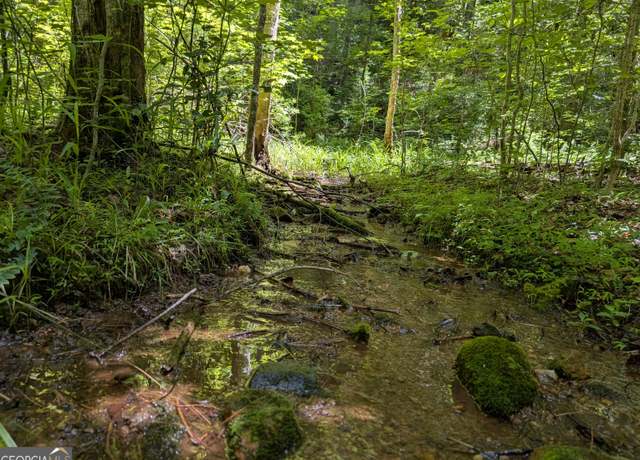 Property at 0 Camp Wahsega Rd, Dahlonega, GA 30533