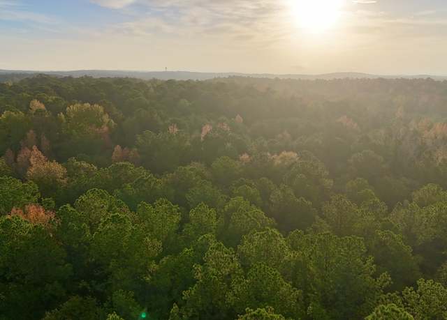 Property at TRACT 2 Dennis Creek Rd, Talbotton, GA 31827