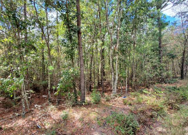 Property at 591 Victory Cir, Lyons, GA 30436