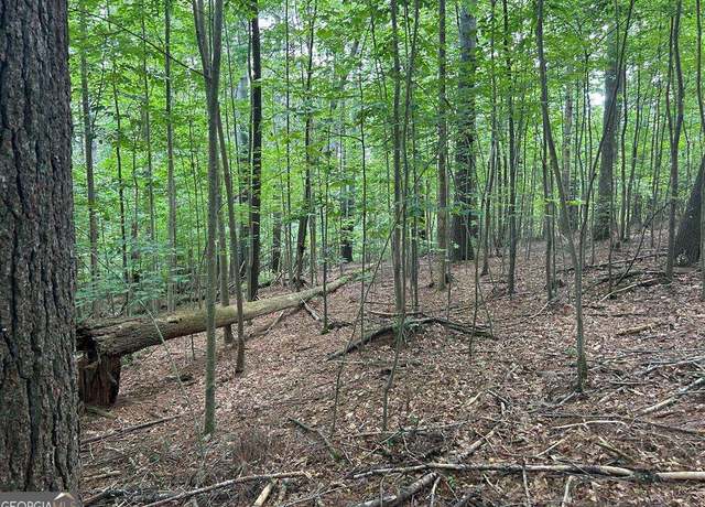 Property at L 10&16 Josie Dr, Blairsville, GA 30512