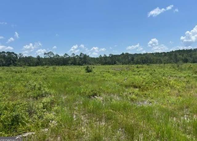 Property at 87.21 AC Bay Branch Church Rd, Claxton, GA 30417