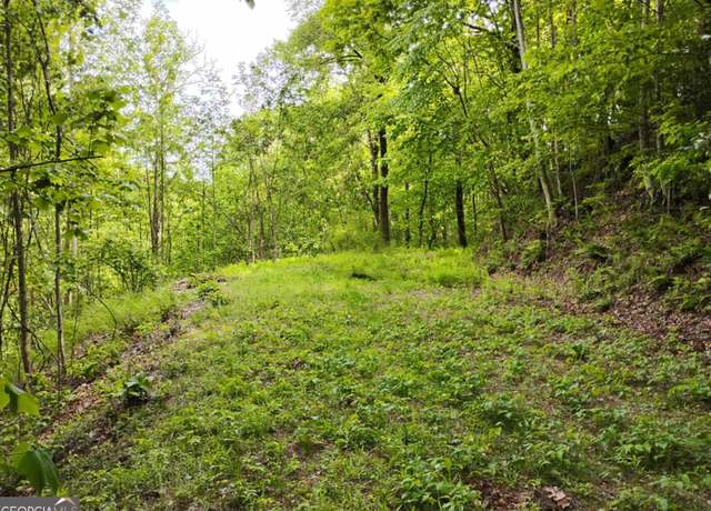 Property at 0 Highland Gap Rd #19, Scaly Mountain, NC 28775