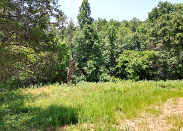 Property at 155AC Megan Trace Dr, Turtletown, TN 37391