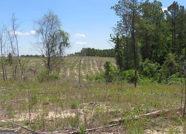 Property at 0 Pineville Rd, Buena Vista, GA 31803