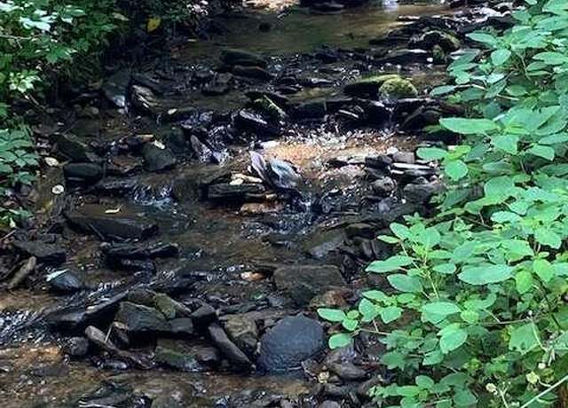 Property at 105 +/- ACRES Folkstone Rd, Talking Rock, GA 30175