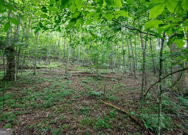 Property at LOT 56 Bryant Cove S/d, Blairsville, GA 30512