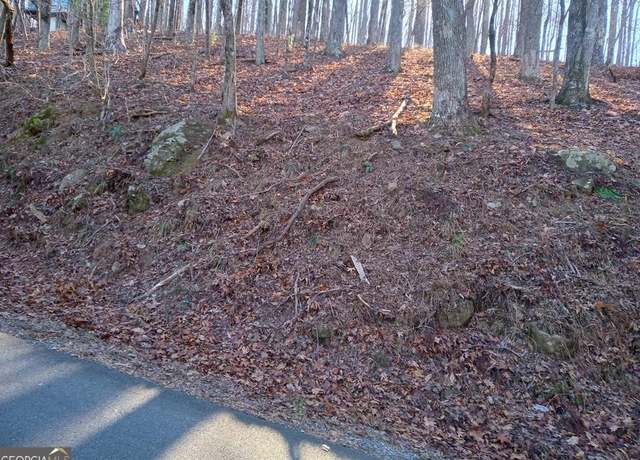 Property at LT M214 Walnut Rdg Unit M214, Ellijay, GA 30536