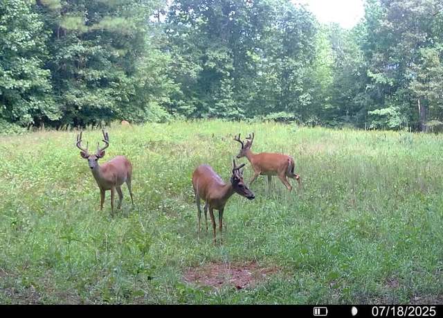 Property at 2941 Elberton Rd, Carlton, GA 30627