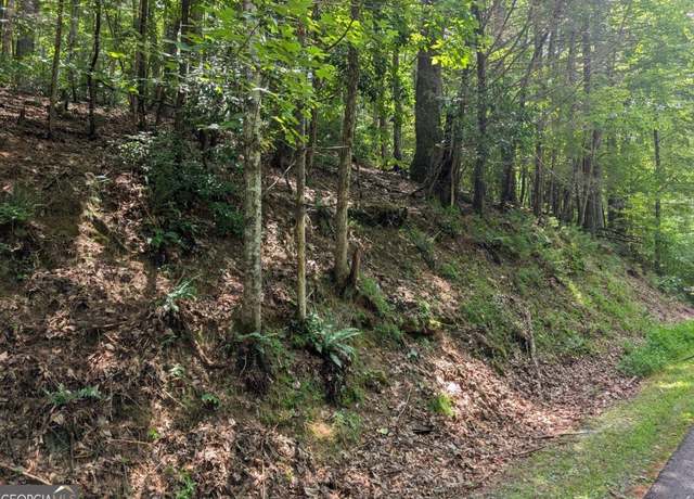 Property at LOT P1 Goldmine Dr, Ellijay, GA 30536