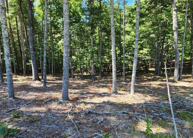 Property at 51 Ridge Dr, Morganton, GA 30560