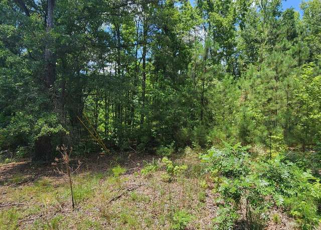 Property at 215 Panola Rd, Jackson, GA 30233