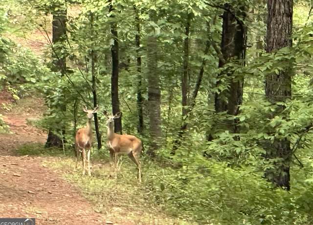 Property at 23.75 ACRES Bastonville, Gibson, GA 30810