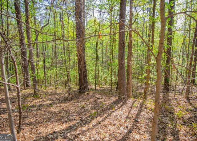 Property at 0 Lake Esther Dr #1, Fairburn, GA 30213