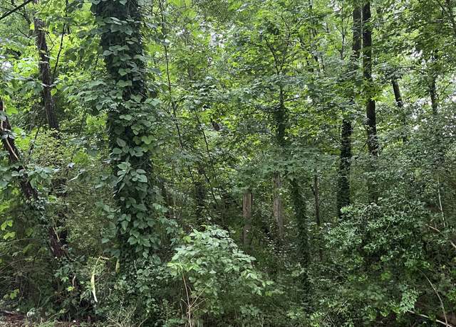 Property at 0 Springside Dr, Atlanta, GA 30354