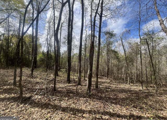 Property at 0 Veterans Memorial Pkwy, Lafayette, AL 36862
