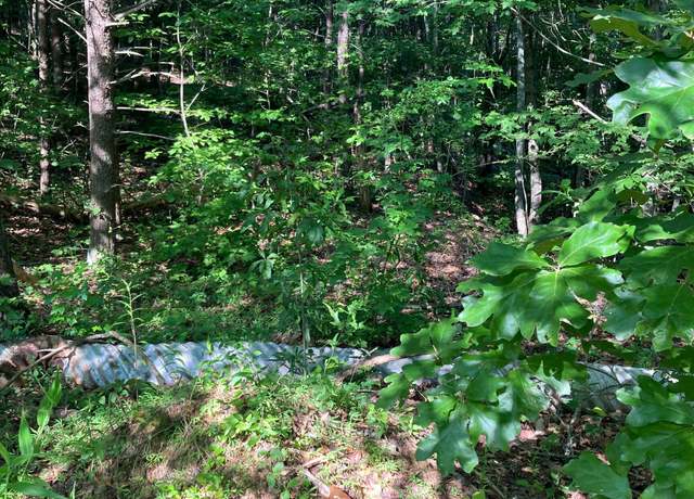 Property at 0 Grant Mill Rd, Alto, GA 30510
