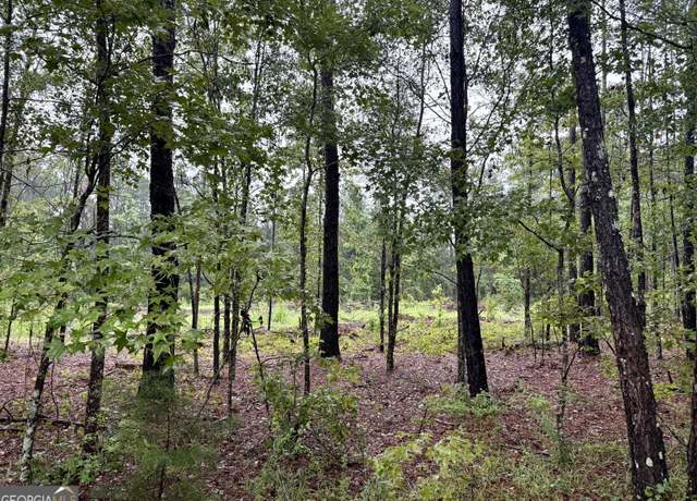 Property at 0 Ben Holland Rd, Claxton, GA 30417