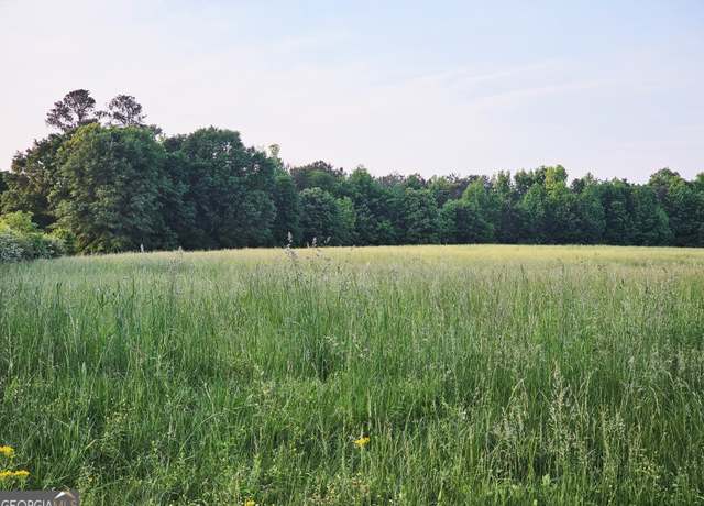 Property at 0 Welcome Road, Tract 3, Roopville, GA 30170