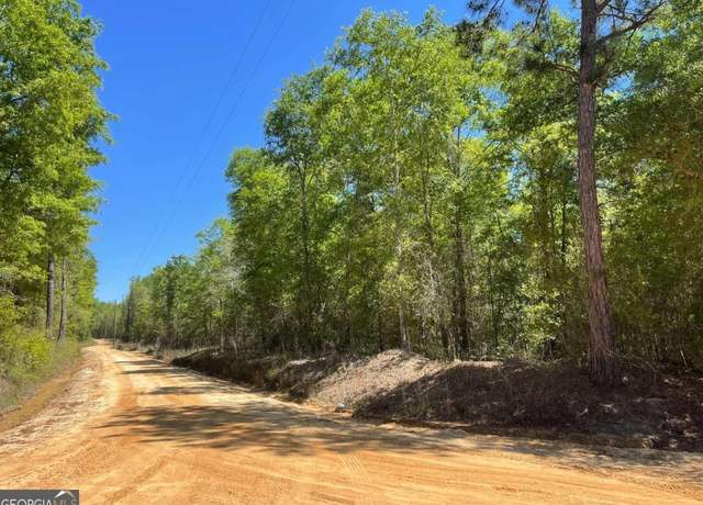Property at 0(2B) Farmers Rd, Alamo, GA 30411