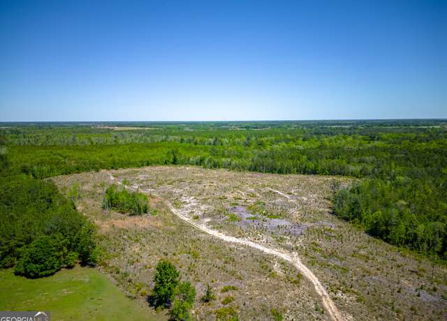 Property at TRACT 2 Scuffletown Rd, Bristol, GA 31518