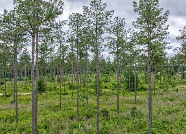 Property at 0 Mcwhorter Rd, Stephens, GA 30667
